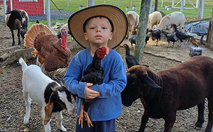 小動物超愛他！「3歲小農夫」日常生活爆紅