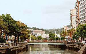 防鳥屎襲車基隆暫時塗銷停車格 網傻眼：車該停哪？