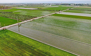 國土計畫劃設後就無法更改？環團釋疑：之後也可能改回來