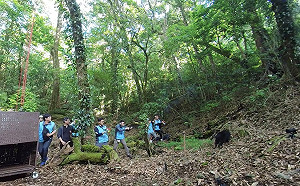 受傷小台灣黑熊「日曼」康復！上午野放重返山林