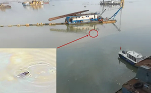 (影) 睜眼說瞎話！中央督察組暗訪發現小江豚被困油污 九江官員：是大青魚