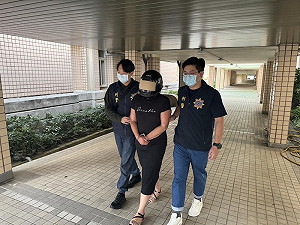 澳洲婦攜毒入台遭逮起訴  網路出現聲援連署