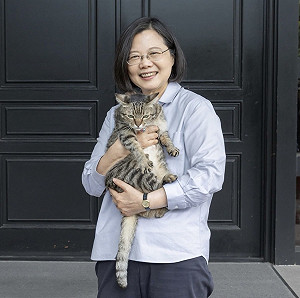 蔡英文搬離官邸前合照貓狗 網友湧入祝福:謝謝總統讓我們很驕傲