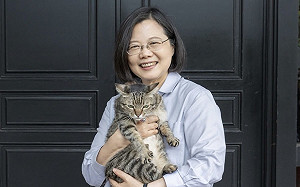 蔡英文搬離官邸前合照貓狗 網友湧入祝福：謝謝總統讓我們很驕傲