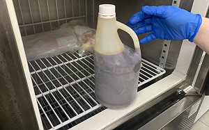 吃壽司驚見活蛞蝓！衛生局曝業者缺失 未改善可罰6萬元