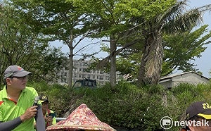 台版亞馬遜─四草綠色隧道旁蓋飯店 蔡麗青質疑自然生態美景遭破壞