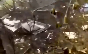 (影) 兇手是印度、以色列、還是美國？伊朗總統萊希墜機事件謎團重重