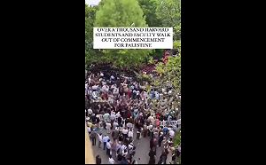 (影) 美大學反制哈衛兵! 哈佛不給畢業證書 密西根大學生拆帳篷動手驅趕