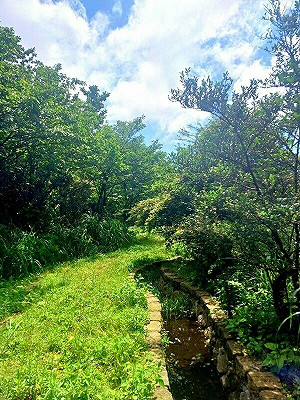 農村隱身市郊!陽明山「湖田里」賞山海交織美景