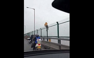 (影) 到處都有人投河、跳樓! 宛如人間煉獄 人民活不下去 中國悲慘事件頻傳