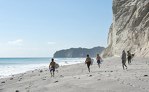 台北旅展5/31世貿登場！東京「好山好水景點」全揭露