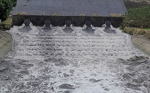 會呼吸的海綿城市 新北「這樣做」增加滯洪量270萬噸