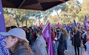 澳大利亞國立大學不忍了！半夜叫醒親巴勒斯坦紮營學生 60多人遭驅逐