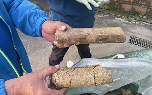 稻草循環再利用竟可發電！農業部曝永續計劃：可製成固體再生燃料