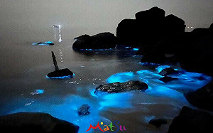 福建踩線團赴馬祖急喊卡！觀光署：預估延至端午節後