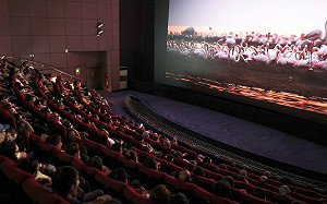 文化幣這樣用最划算！暑期限定「國片馬拉松」最高回饋1000點