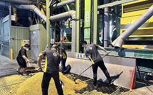 立院通過公糧收購價上調5元！農業部：農民恐無法實質獲益