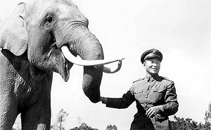 大象「林旺」本名「阿美」 是孫立人從日本手中帶到台灣