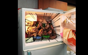 (影)市長也不例外！蔣萬安開冰箱 接下來一個月菜色是「它」