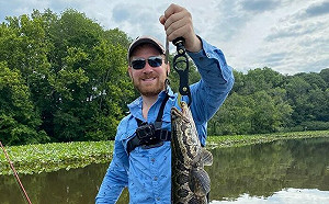 「北方蛇頭魚」入侵美國 密蘇里州下達「革殺令」