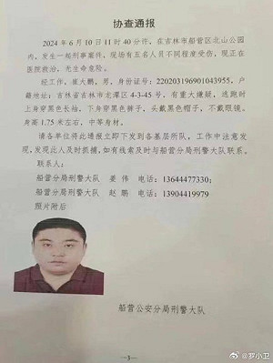 抓到了!吉林狠男刺傷4名美籍教師與中國遊客 警稱與人碰撞而行兇