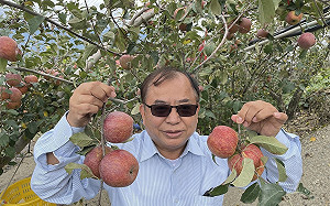 救觀光下重本！揪團上梨山現領一萬