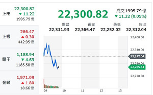 台股早盤力守22300點 蘋果重返市值王 台積電市值躍第八