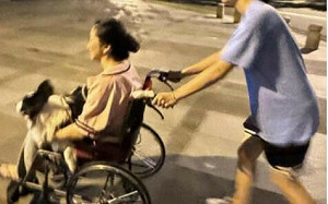 禍不單行！才成中國假新聞主角 陶晶瑩坐輪椅照片曝光