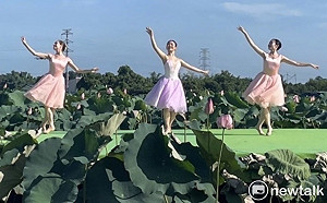 芭蕾舞者蓮田翩然起舞 黃偉哲邀民眾親近在地農漁地景藝術文化