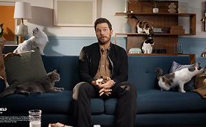 (影)整天只剩吃跟睡！「星爵」自爆為《加菲貓：農場大冒險》迷失自我 