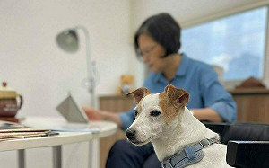 卸任滿月小英帶樂樂穿親子裝出門 一亮點吸3萬人