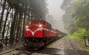 阿里山林鐵修復完成!7/6全線恢復運行