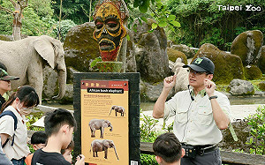 暑假夜訪動物去！台北動物園7、8月週末延長開放至晚間9點