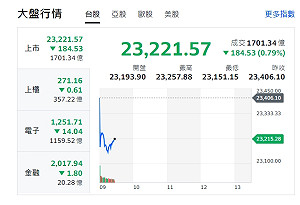 輝達痛失市值王 台股早盤跳空開低 力守23000點