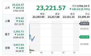 輝達痛失市值王 台股早盤跳空開低 力守23000點
