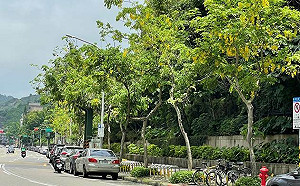 行人優先區「恐成行車地獄」？交通部回應：不會在主要幹道設置