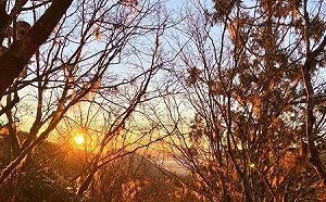 第6次碳費今召開！費率有望正式拍板  彭啟明：碳訂價「先低後高」