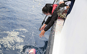 價值1.8億農粉幣要發了！農業部花蓮「從心出花2.0」7月上路