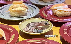 元智女大生守宮放醬料盤  壽司郎擬告！校方回應了