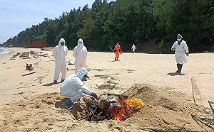 中國海漂豬屍檢出非洲豬瘟病毒！應變中心宣布金門豬肉品禁運一週