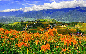 花蓮觀光振興加溫！觀光署：越南3架包機要來了