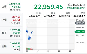 台股早盤跌逾200點 資金大風吹向中小型股