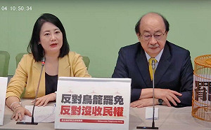 拿國民黨麥克風喊開會 綠譴責高金素梅：想重現服貿「半分忠」 