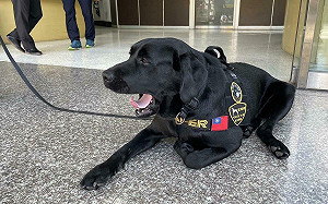 電子偵測犬建功 高市警破獲洗錢機房集團起獲關鍵事證