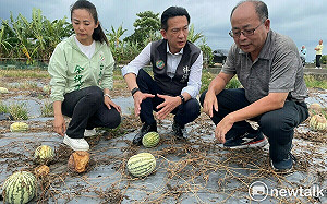 林俊憲會勘新化西瓜災情 農糧署將加速認定災損助農民度過難關