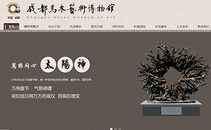 疑雲重重!創辦成都烏木博物館台商「被壓死且快速火化」資產恐充公