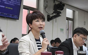 內幕》早屬意林岱樺角逐中常委　正國會詫異陳亭妃無視決議