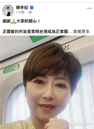陳亭妃「退無可退」力拚中常委  陣營憂若退讓 市長選戰恐先繳械
