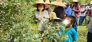 食農教育變身互動遊戲!線上答題抽現金家電  總獎金逾10萬