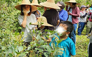 食農教育變身互動遊戲！線上答題抽現金家電  總獎金逾10萬